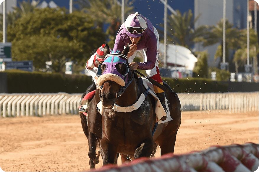 Jockey e cavalo em corrida